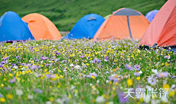 適合每個(gè)階段孩子年齡的戶外運(yùn)動形式